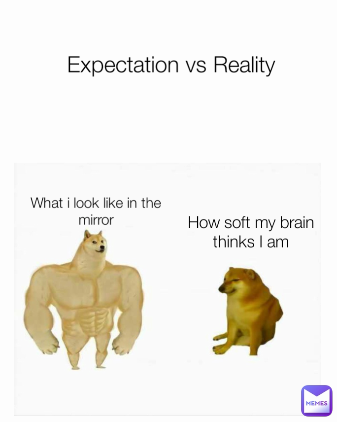 How soft my brain thinks I am What i look like in the mirror Expectation vs Reality