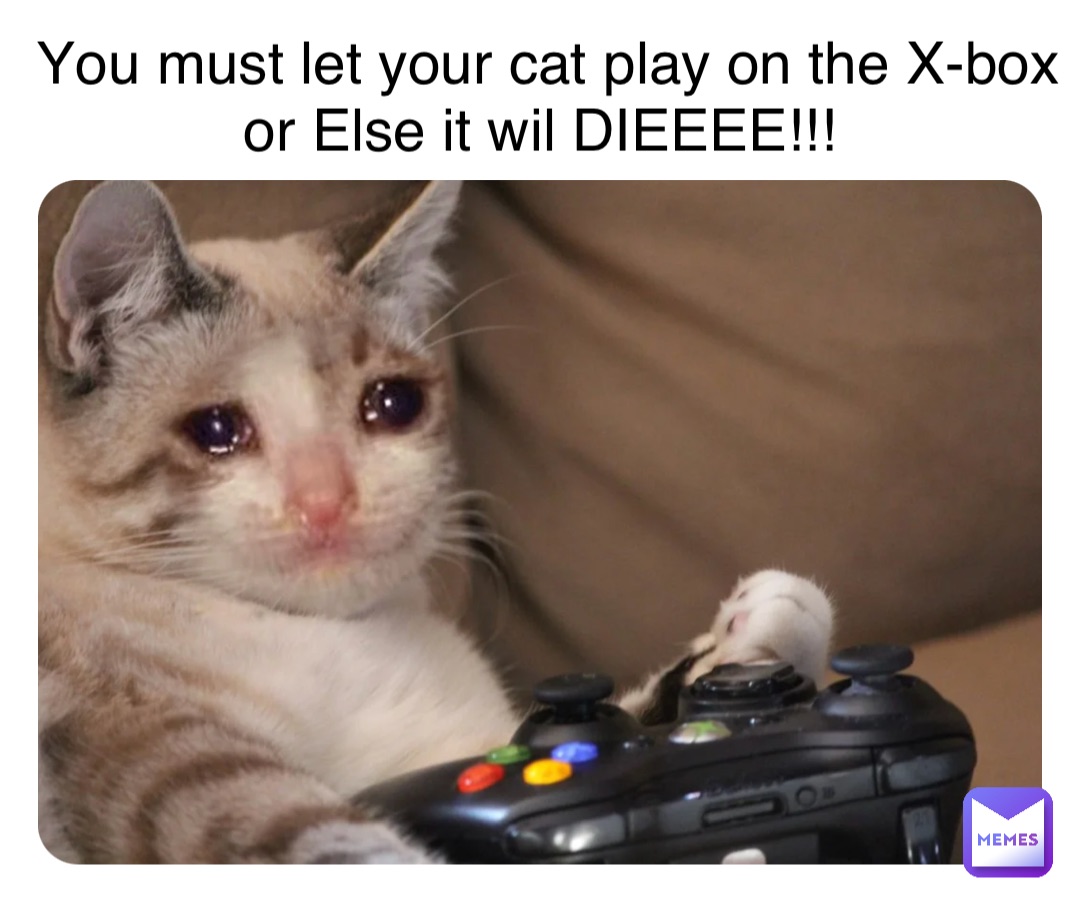 Double tap to edit You must let your var the x box You must let your cat the x-box You must let your cat play on the X-box or Else it wil DIEEEE!!!