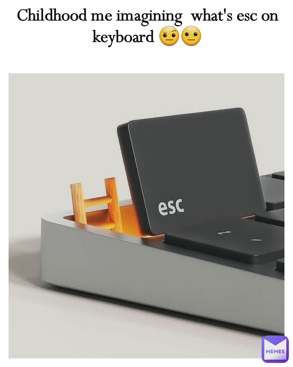 Childhood me imagining  what's esc on keyboard 🤨😐
