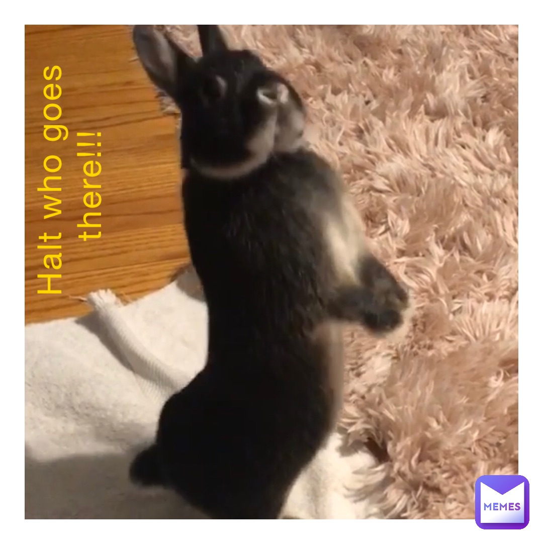 HALT WHO GOES THERE!!!