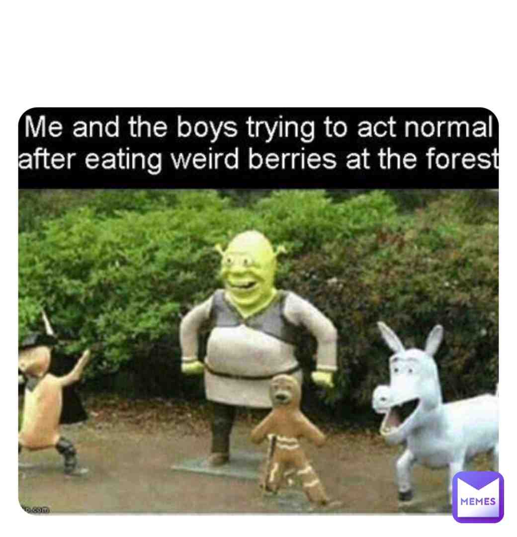 Meme shared by @1BeAnS1