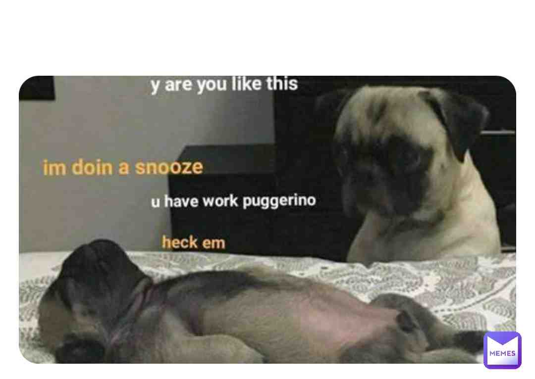 I forgot if this was supposed to be funny-