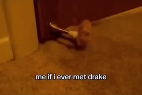Meme preview