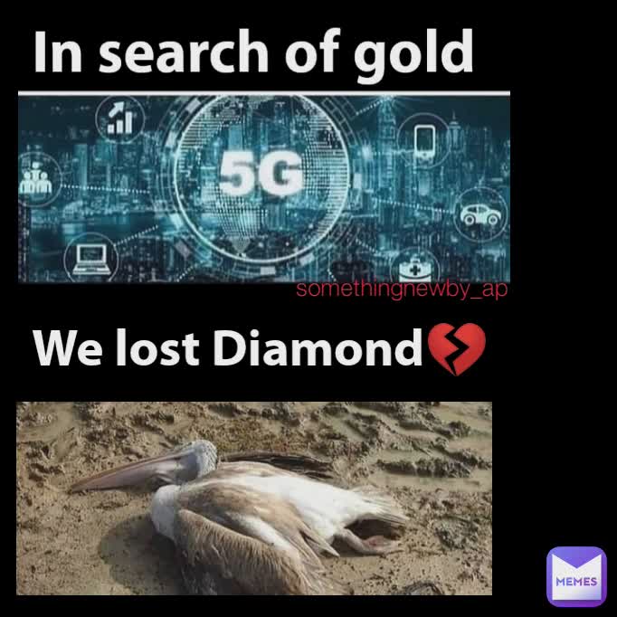 We lost Diamond💔 In search of gold  somethingnewby_ap
