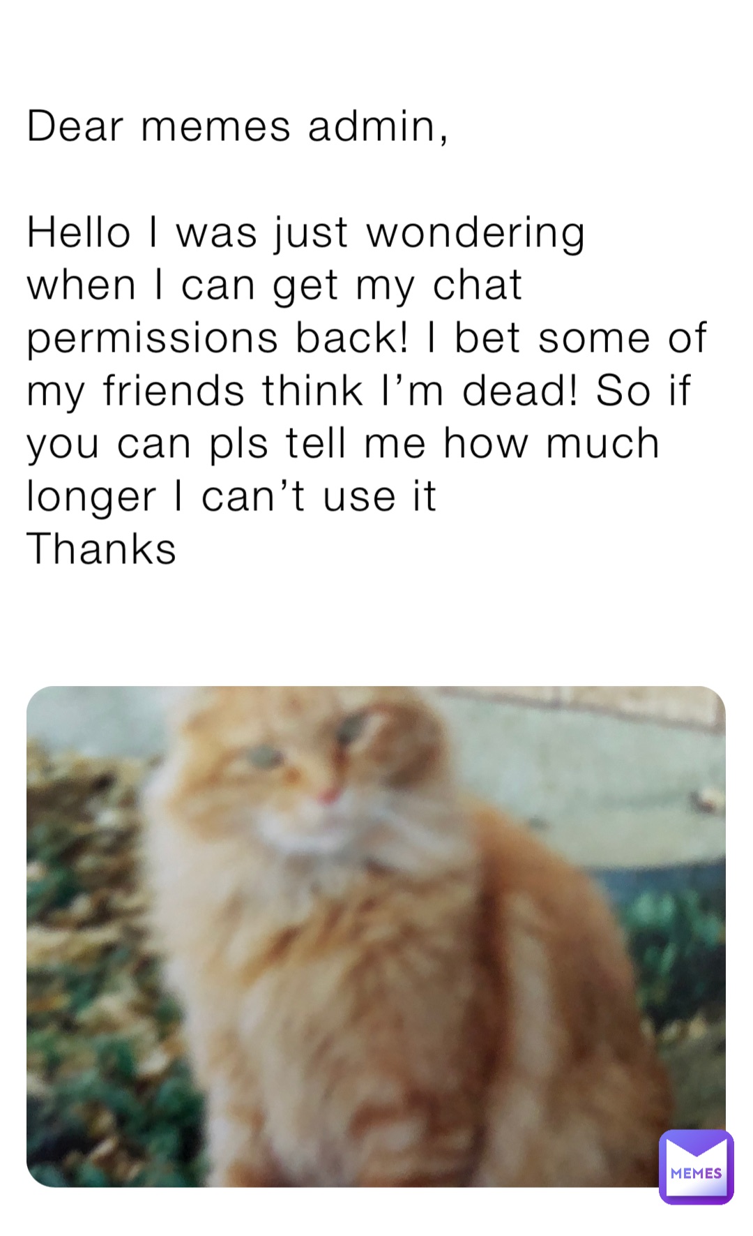 Dear memes admin,

Hello I was just wondering when I can get my chat permissions back! I bet some of my friends think I’m dead! So if you can pls tell me how much longer I can’t use it 
Thanks