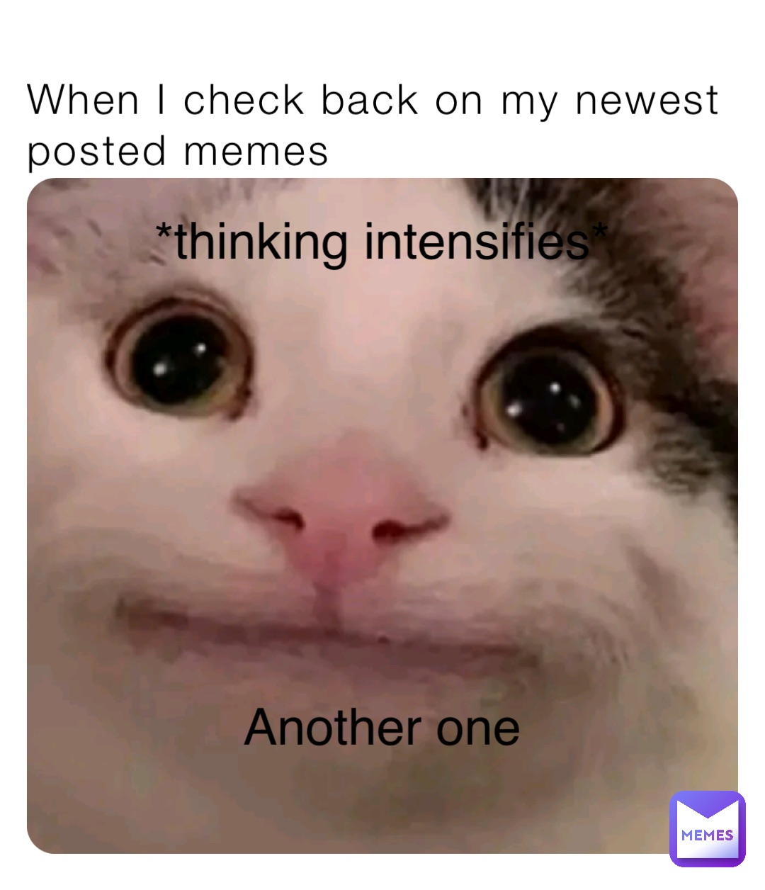 When I check back on my newest posted memes Another one *thinking intensifies*