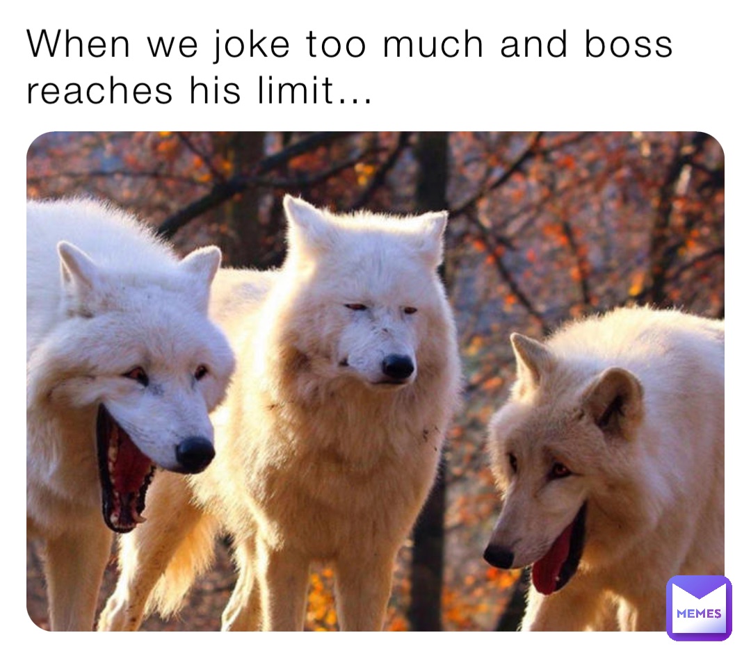 When we joke too much and boss reaches his limit…