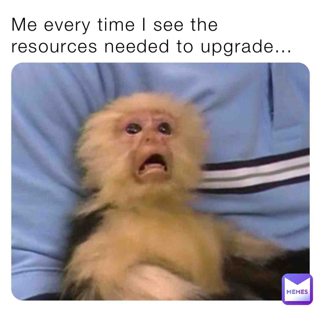 Meme shared by @jezzybraid