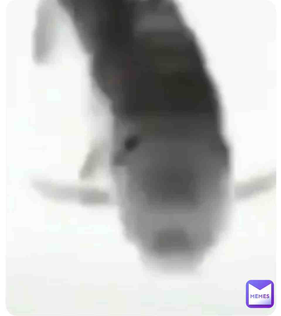 Fish😞