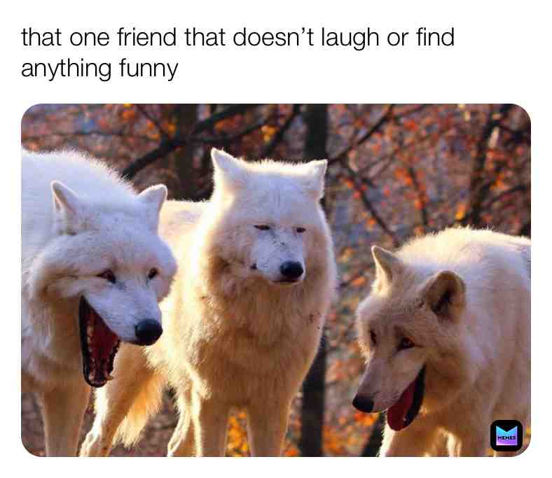 #fyp #memes #funny #fyp