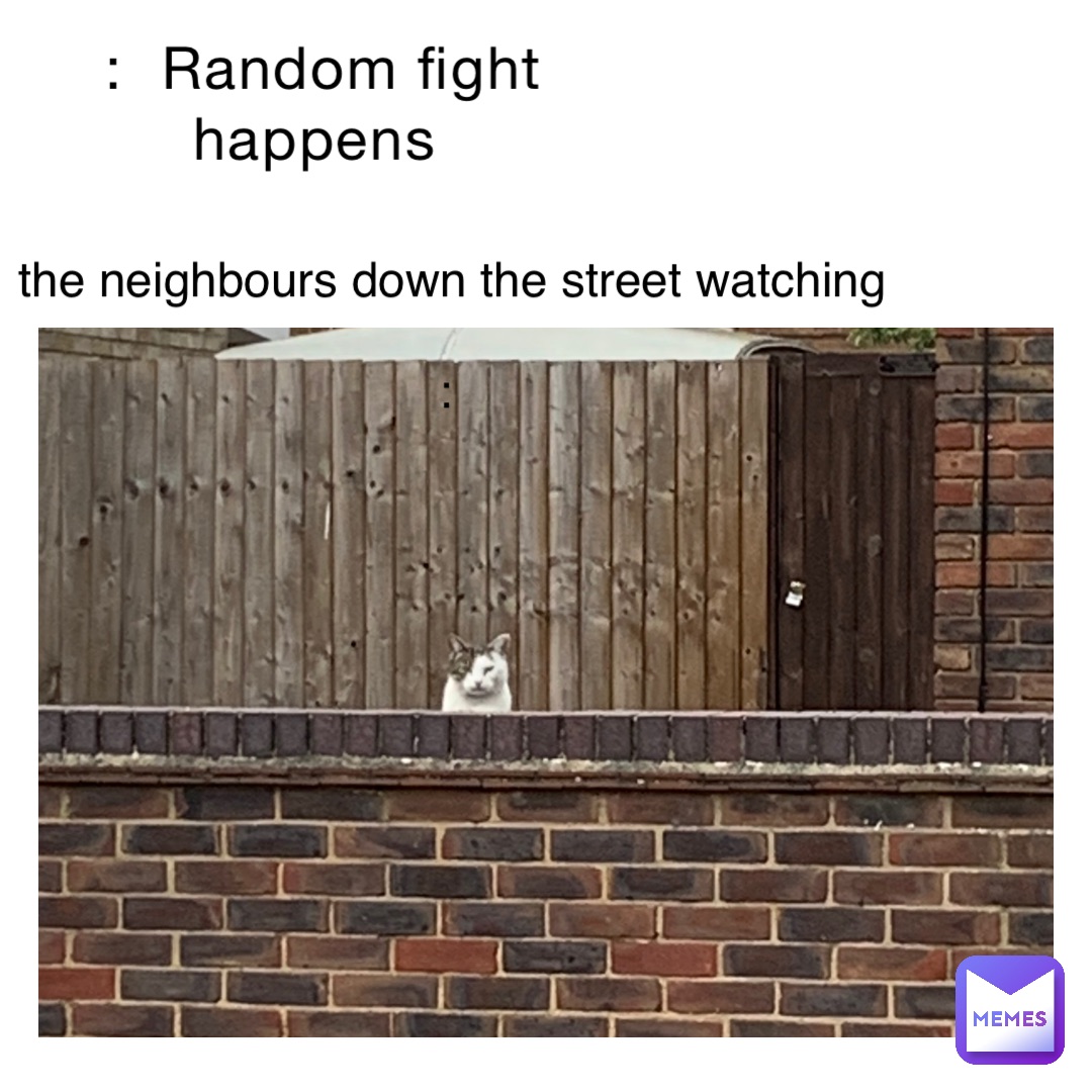 :  Random fight happens the neighbours down the street watching 

: