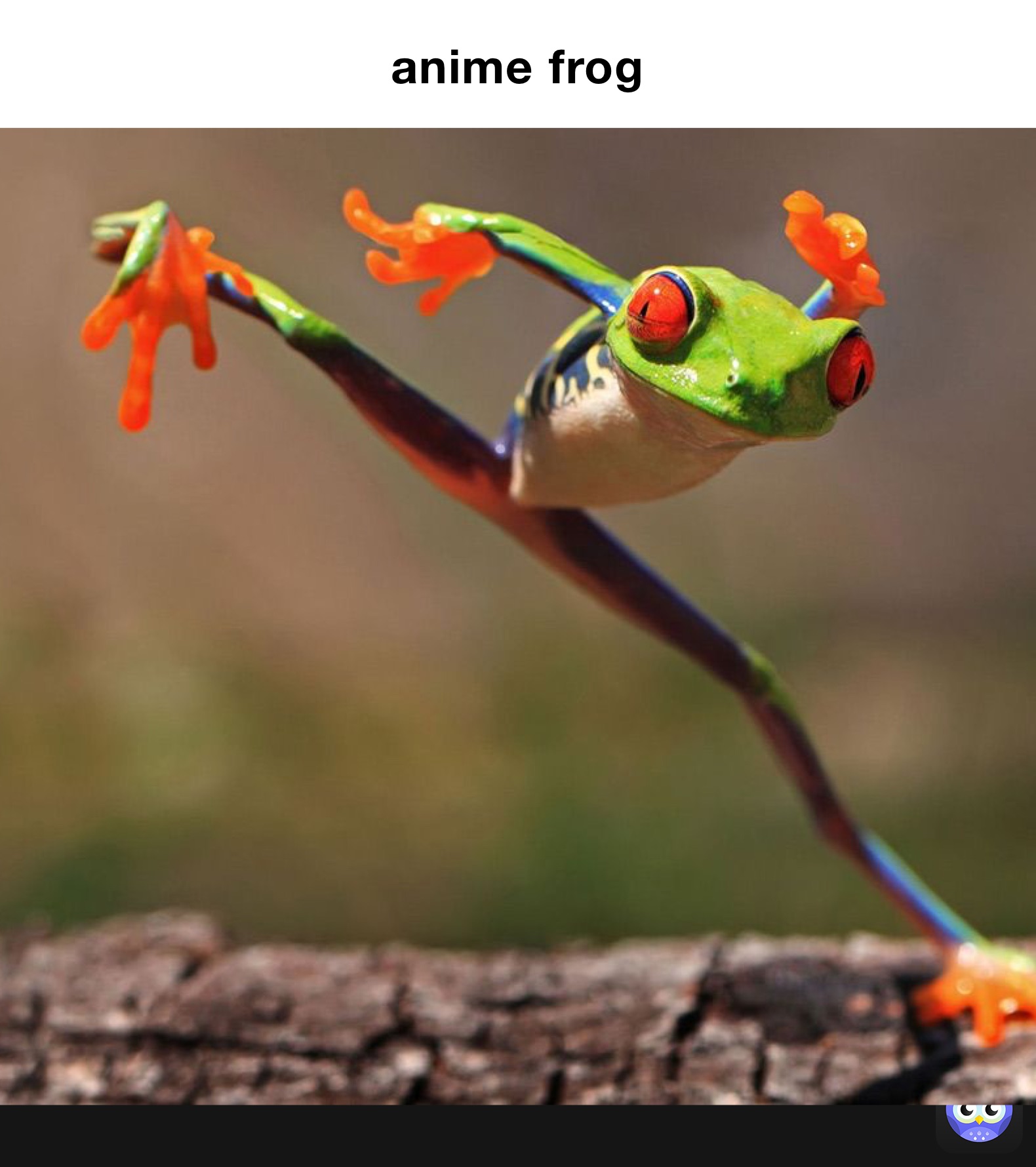 anime frog