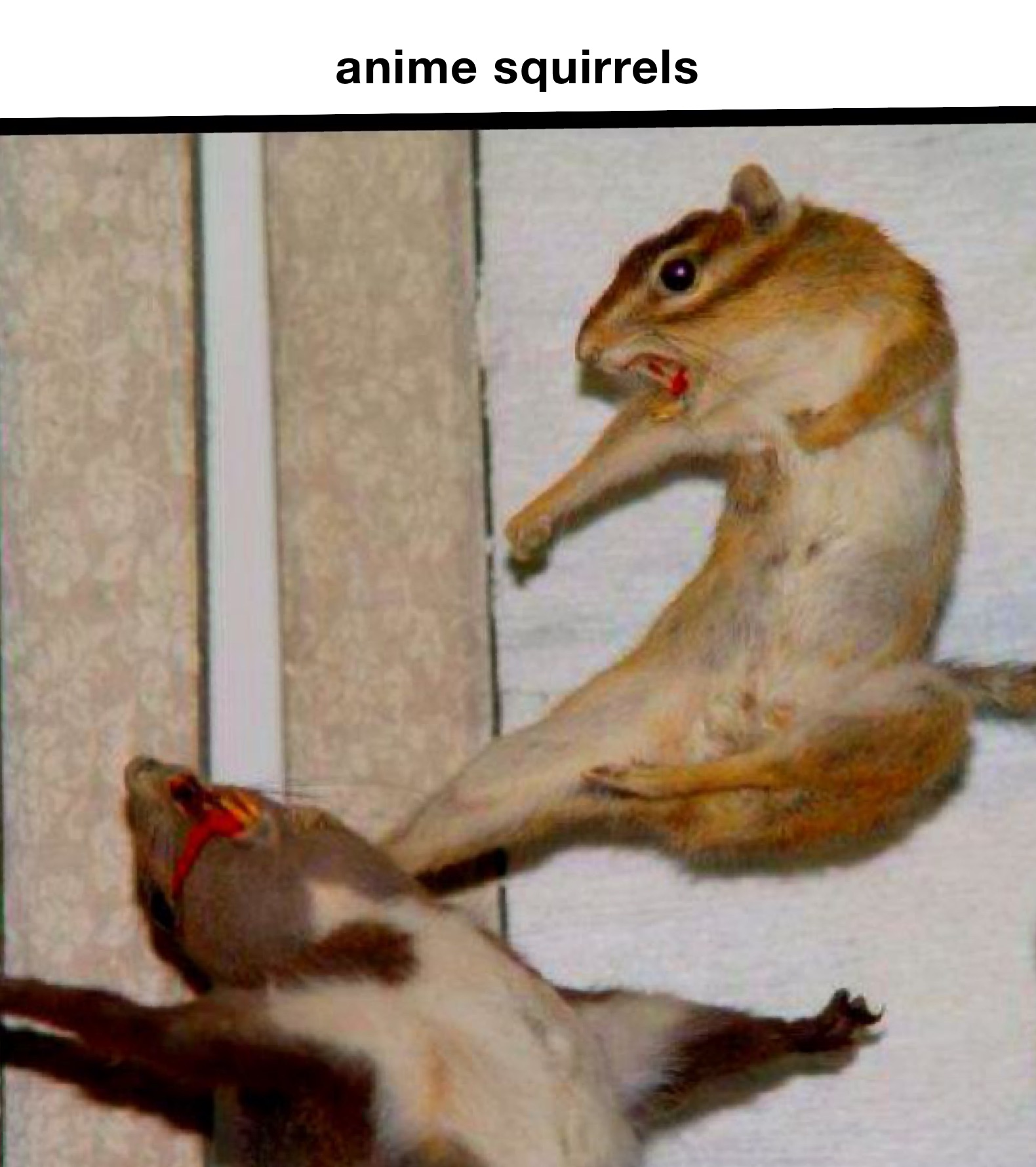 anime squirrels 