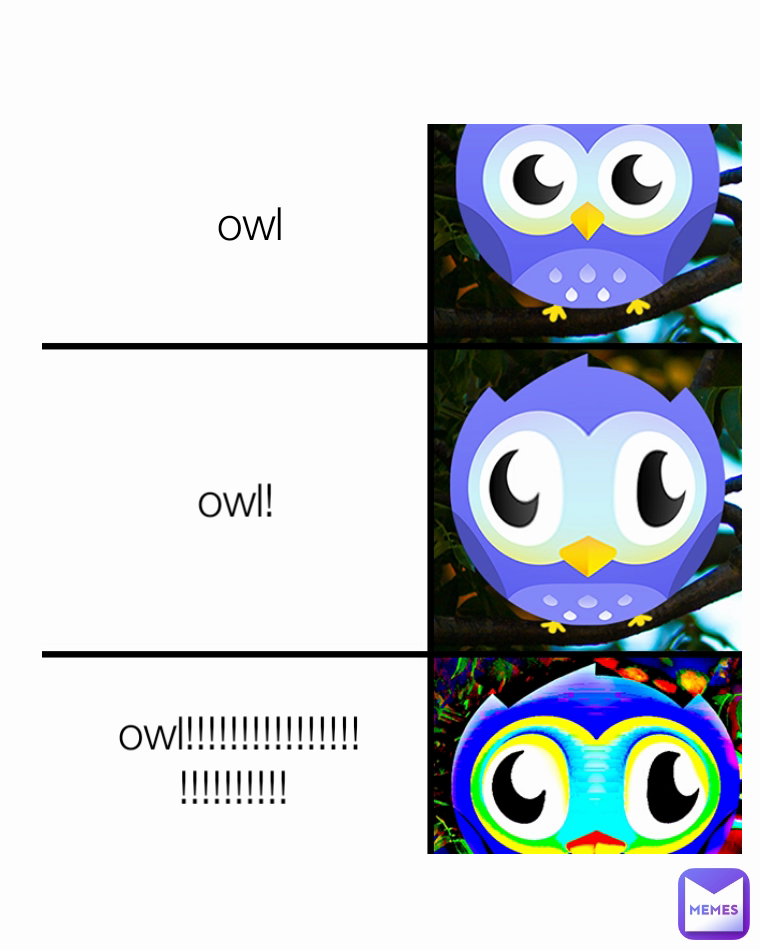 owl!!!!!!!!!!!!!!!!!!!!!!!!!!  owl owl!