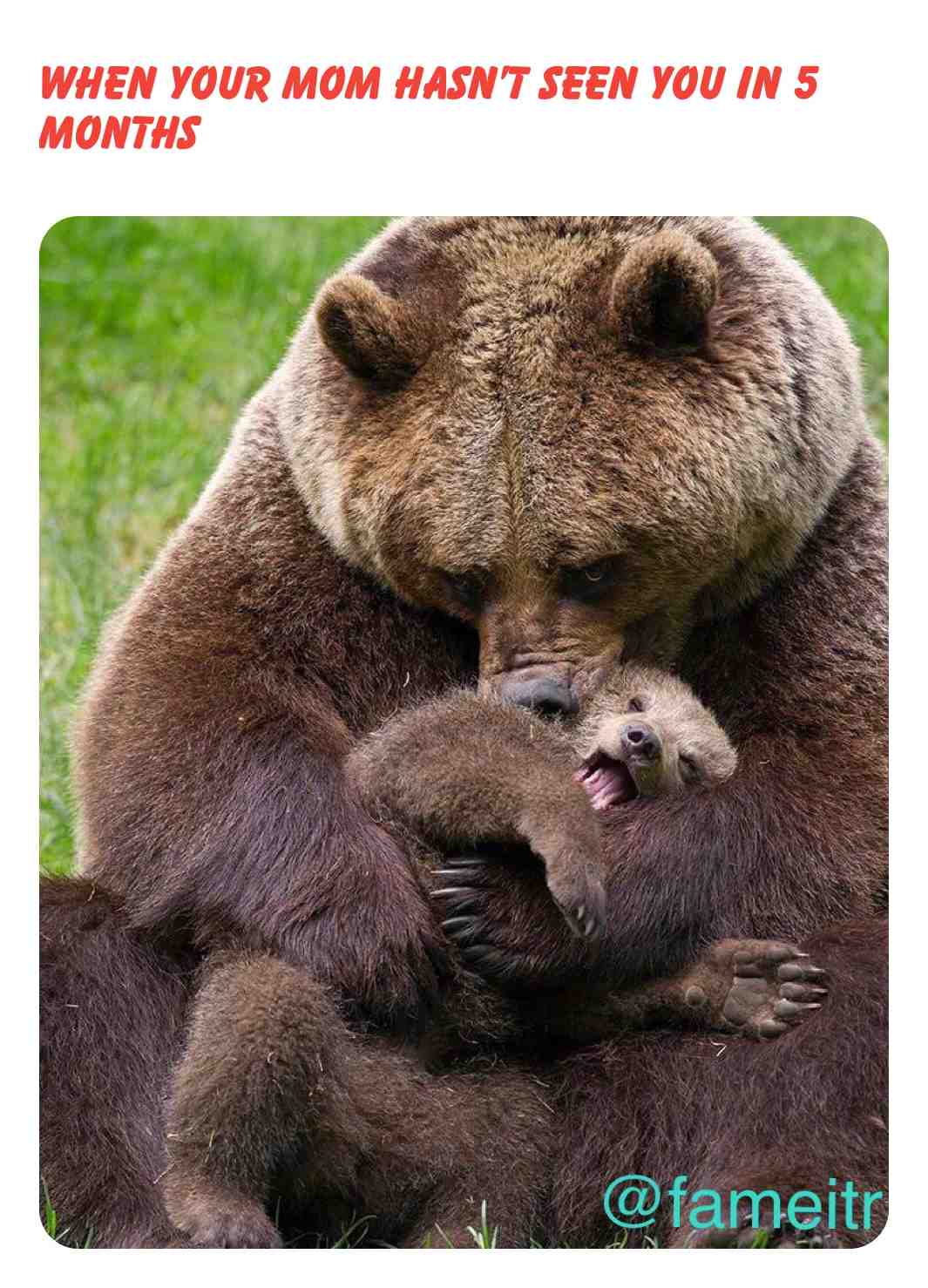 Is it just me
\u2022
\u2022
\u2022
\u2022
\u2022
#bear #hug #mom #son #daughter #travel #longtimenosee #meme #dailymemes #lol #fame #hashtag