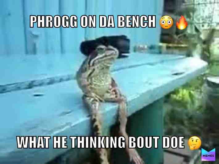 no cap #phrog