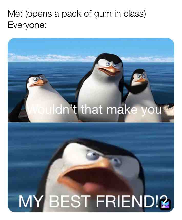 #madagascar #memes #memesdaily #penguins #penguinsofmadagascar #penguin #dankmemes #schoolmemes #relatablememes