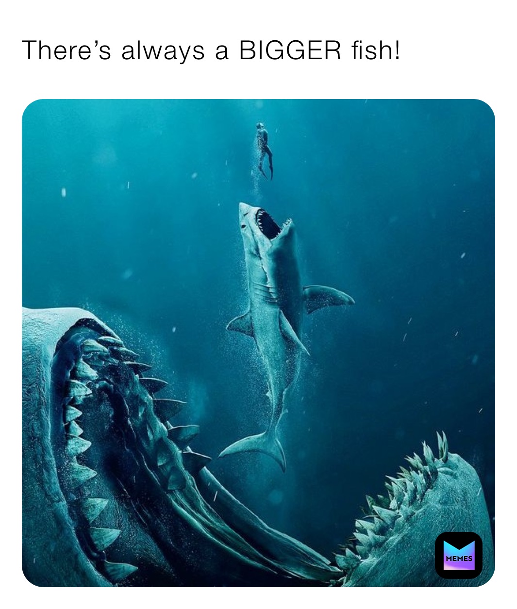 There’s always a BIGGER fish!