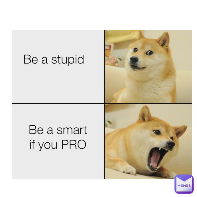 Be a stupid Be a stupid Be a smart if you PRO
