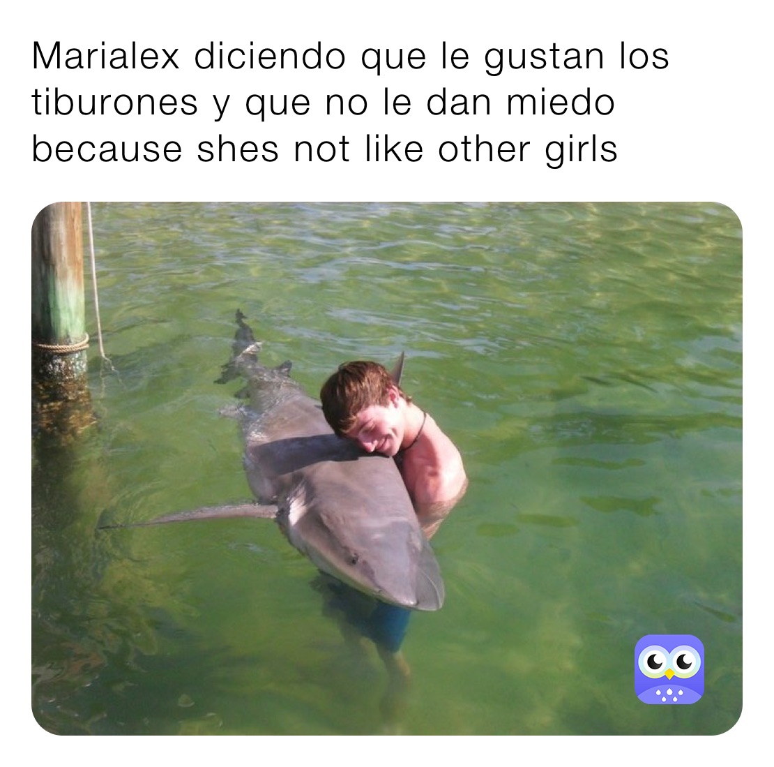 Marialex diciendo que le gustan los tiburones y que no le dan miedo because shes not like other girls