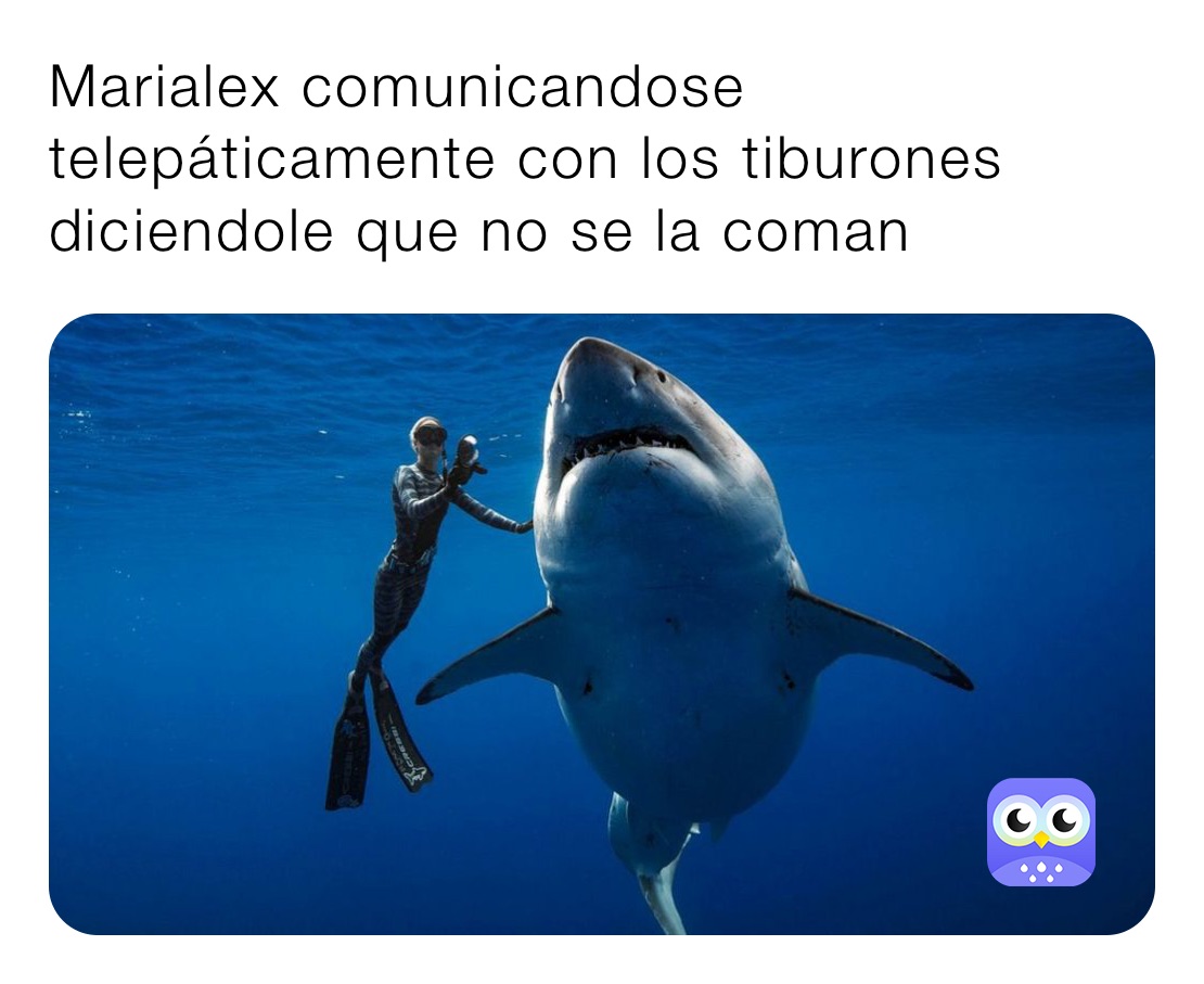 Marialex comunicandose telepáticamente con los tiburones diciendole que no se la coman