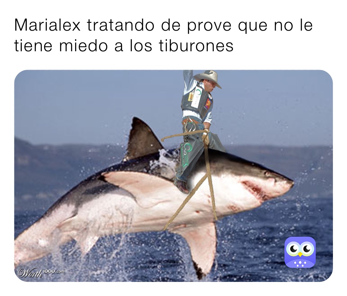 Marialex tratando de prove que no le tiene miedo a los tiburones