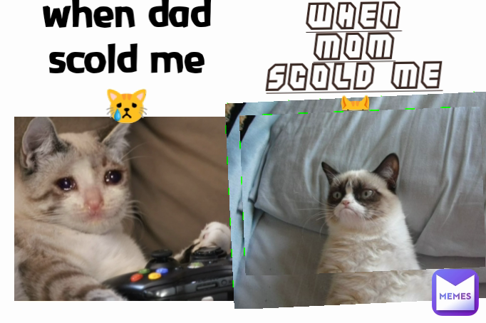 when dad scold me😿 when mom scold me😾