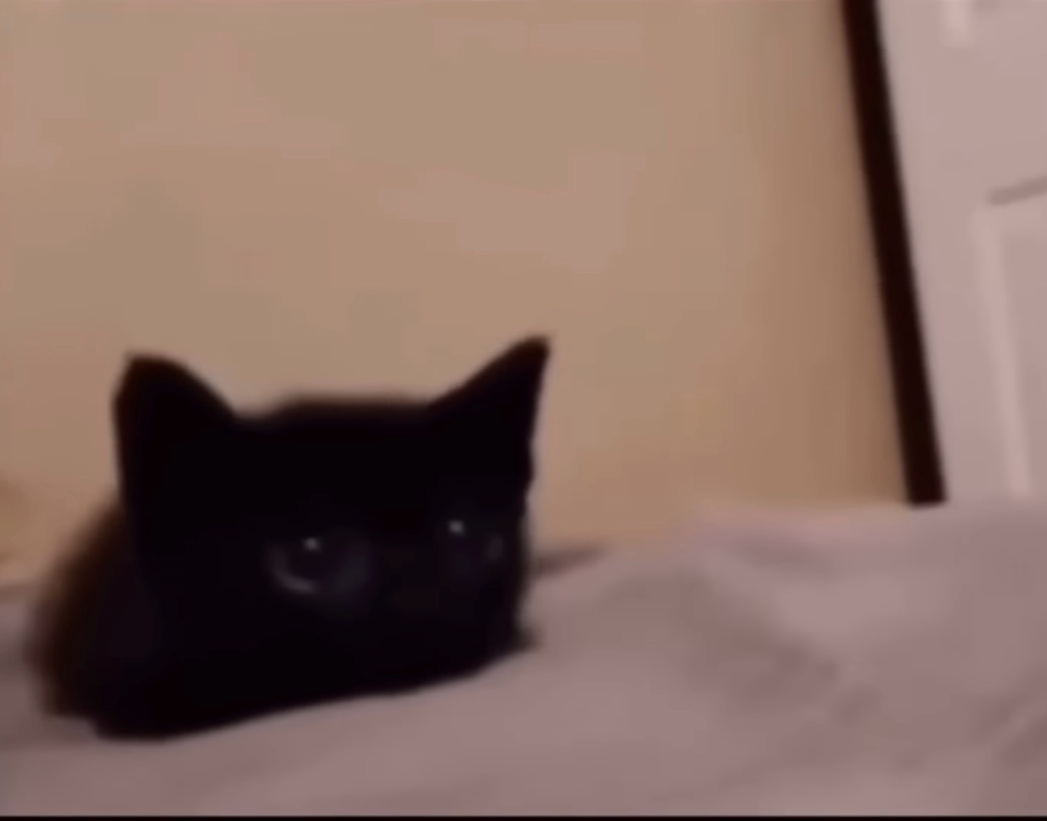 Meme by EmperorVader1