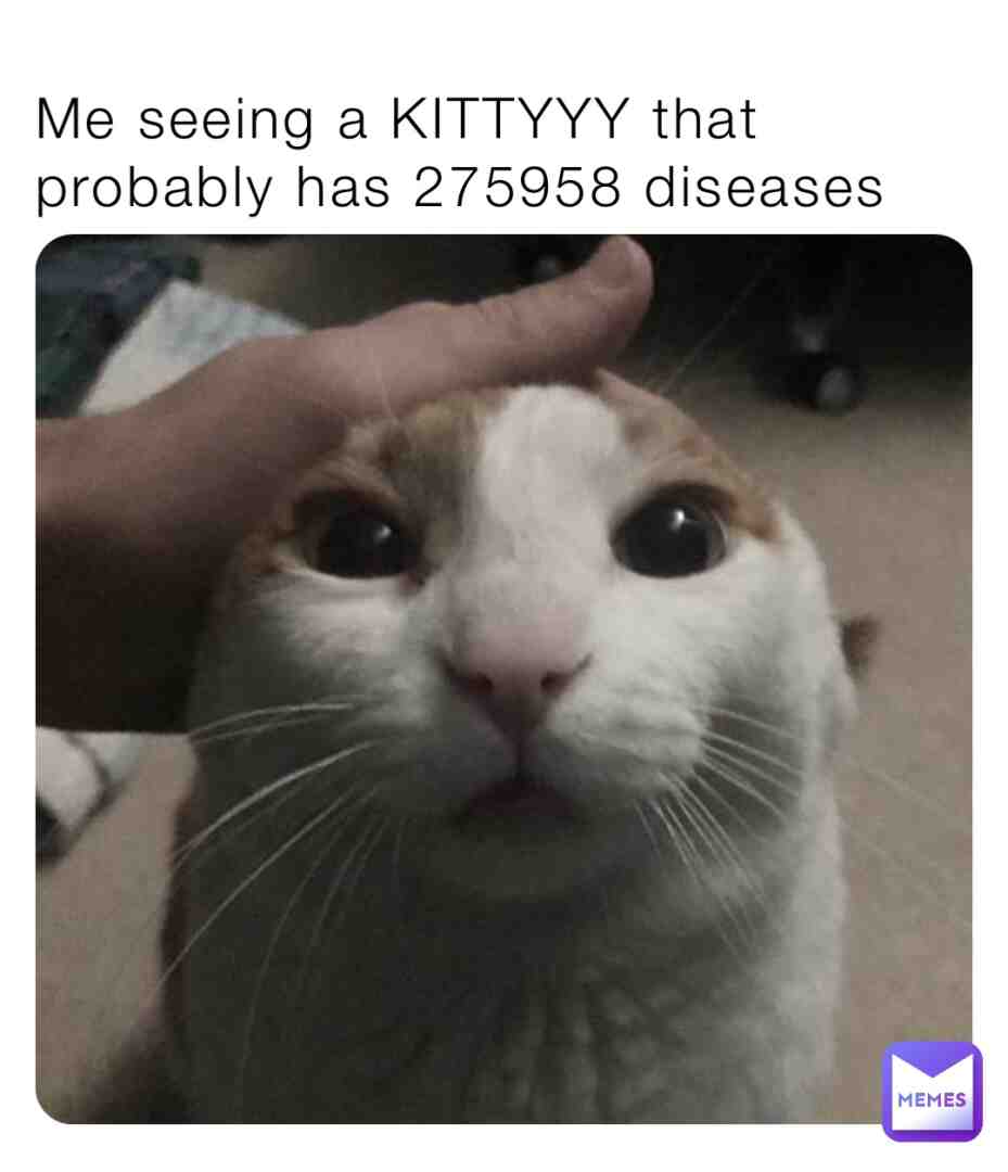 Meme preview
