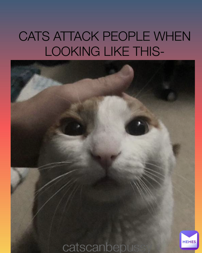 Meme by RANDOMBEINGINFINITYVERSE