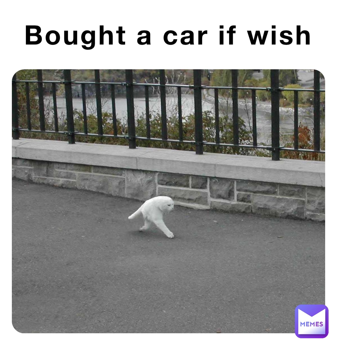 Bought a car if wish