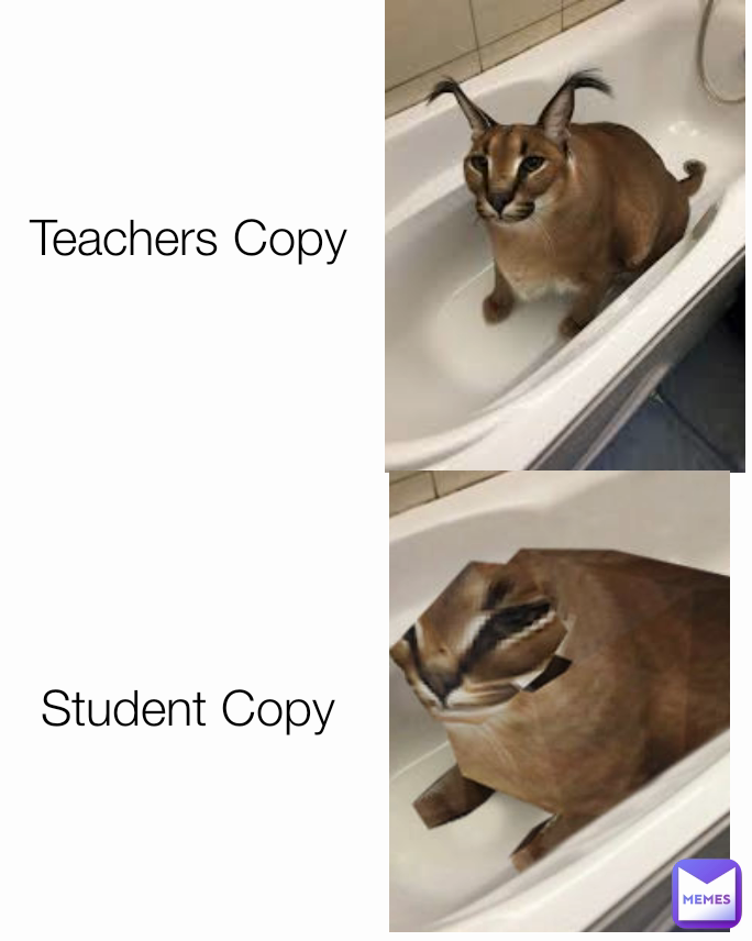 Student Copy Teachers Copy