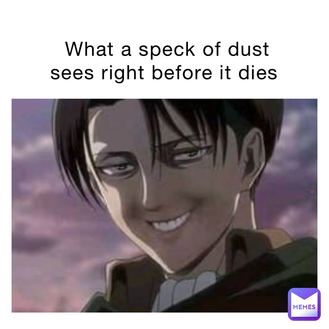 What a speck of dust sees right before it dies