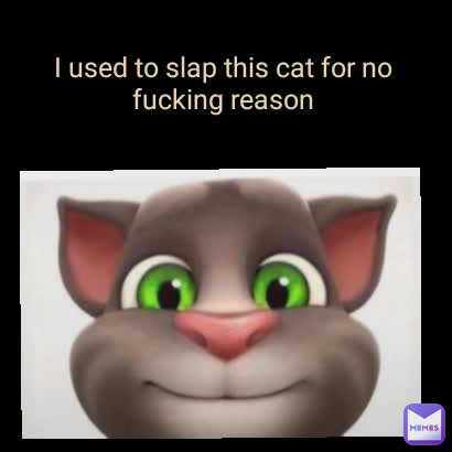 I used to slap this cat for no fucking reason