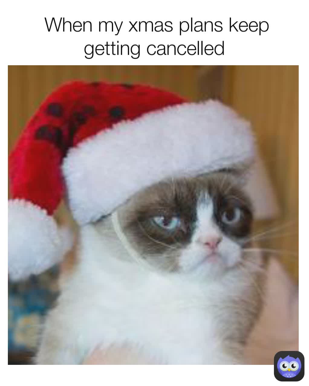 When my xmas plans keep getting cancelled 