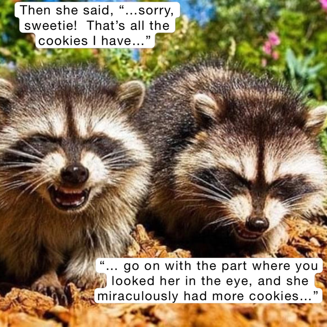 Then she said, “…sorry, sweetie!  That’s all the cookies I have…” “… go on with the part where you looked her in the eye, and she miraculously had more cookies…”