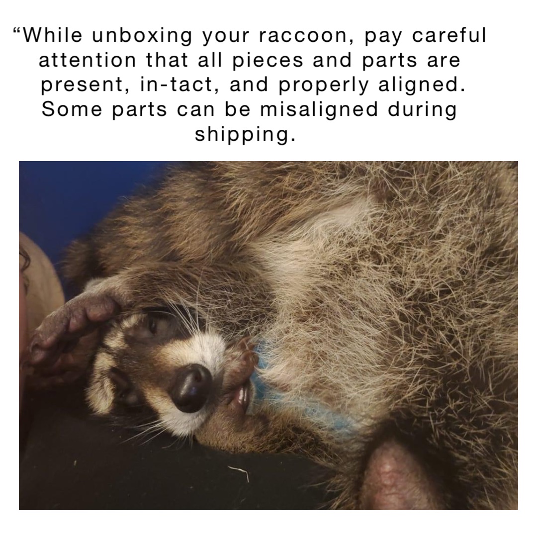 “While unboxing your raccoon, pay careful attention that all pieces and parts are present, in-tact, and properly aligned.  Some parts can be misaligned during shipping.