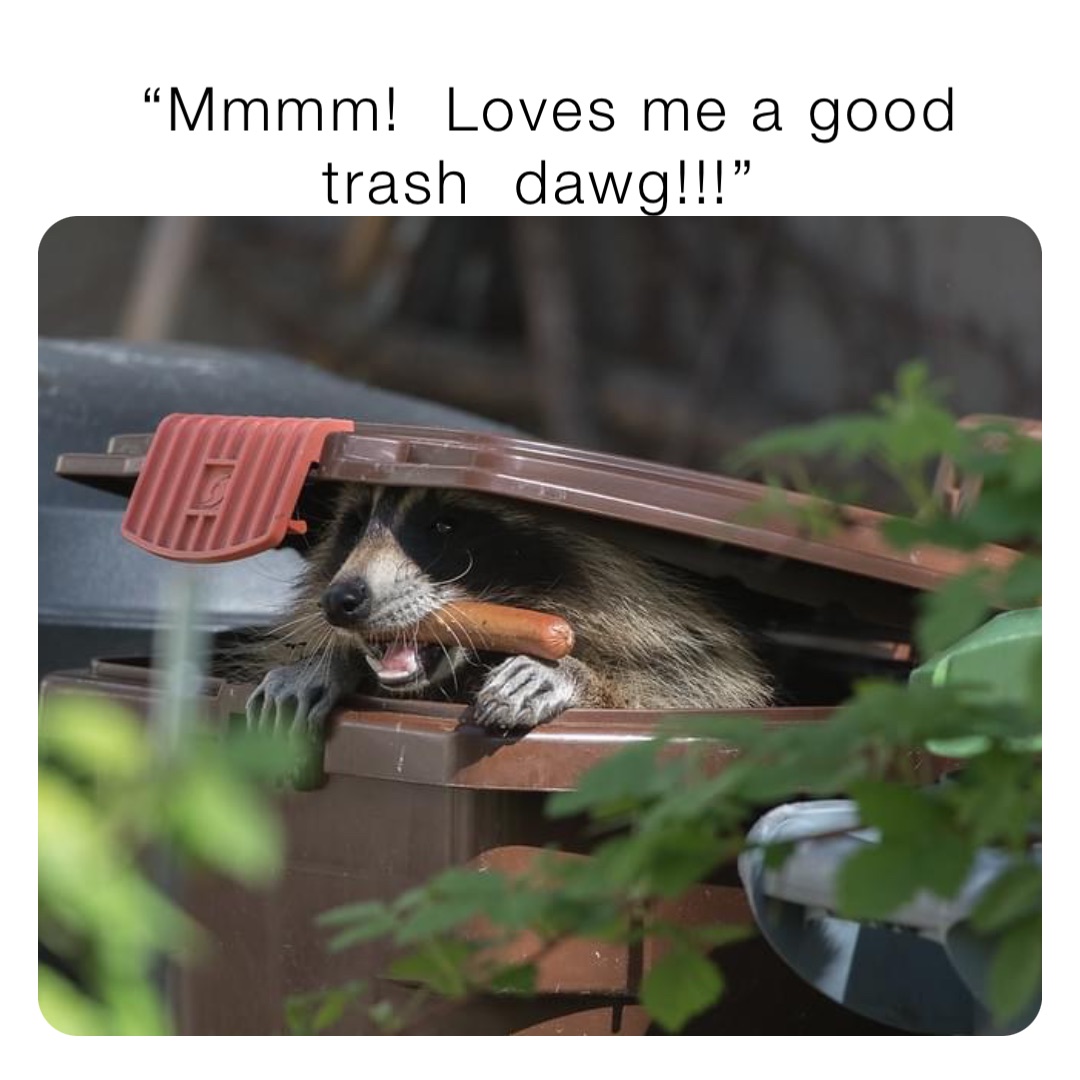 “Mmmm!  Loves me a good trash  dawg!!!”