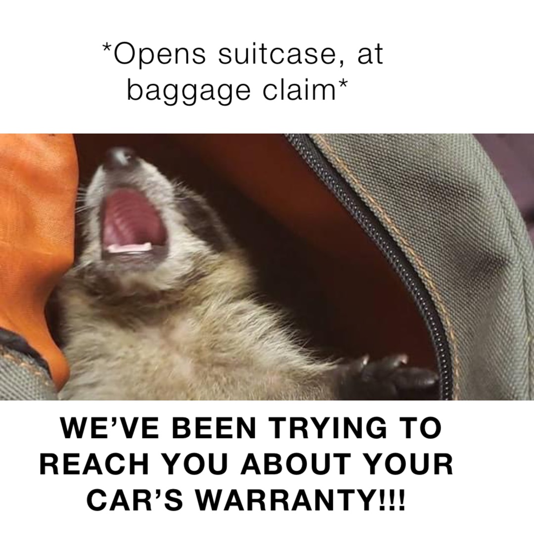 *Opens suitcase, at baggage claim* WE’VE BEEN TRYING TO REACH YOU ABOUT YOUR CAR’S WARRANTY!!!