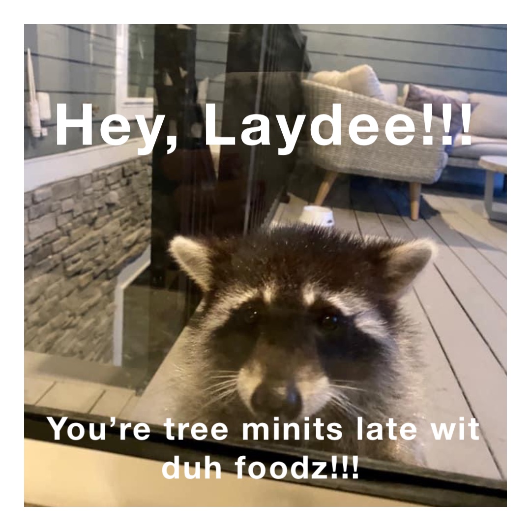 Hey, Laydee!!! You’re tree minits late wit duh foodz!!!