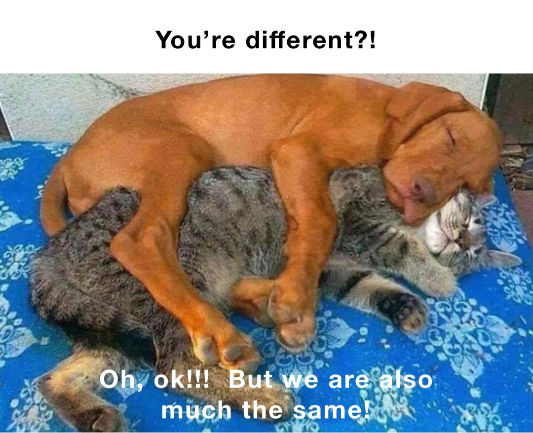 You’re different?! Oh, ok!!!  But we are also much the same!