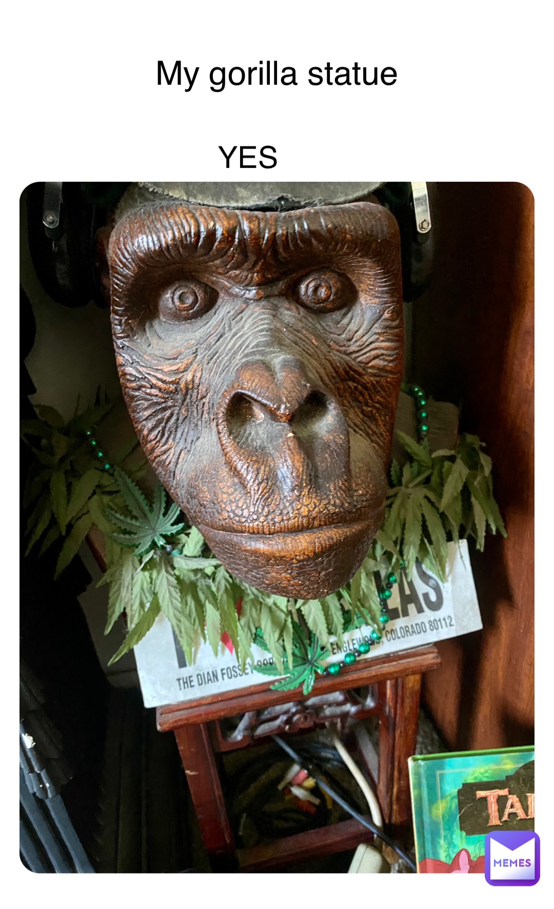 My gorilla statue YES
