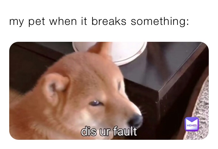 my pet when it breaks something: