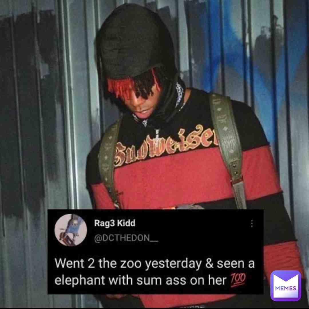 #memes #zootopia #dcthedon #funny #funnymemes