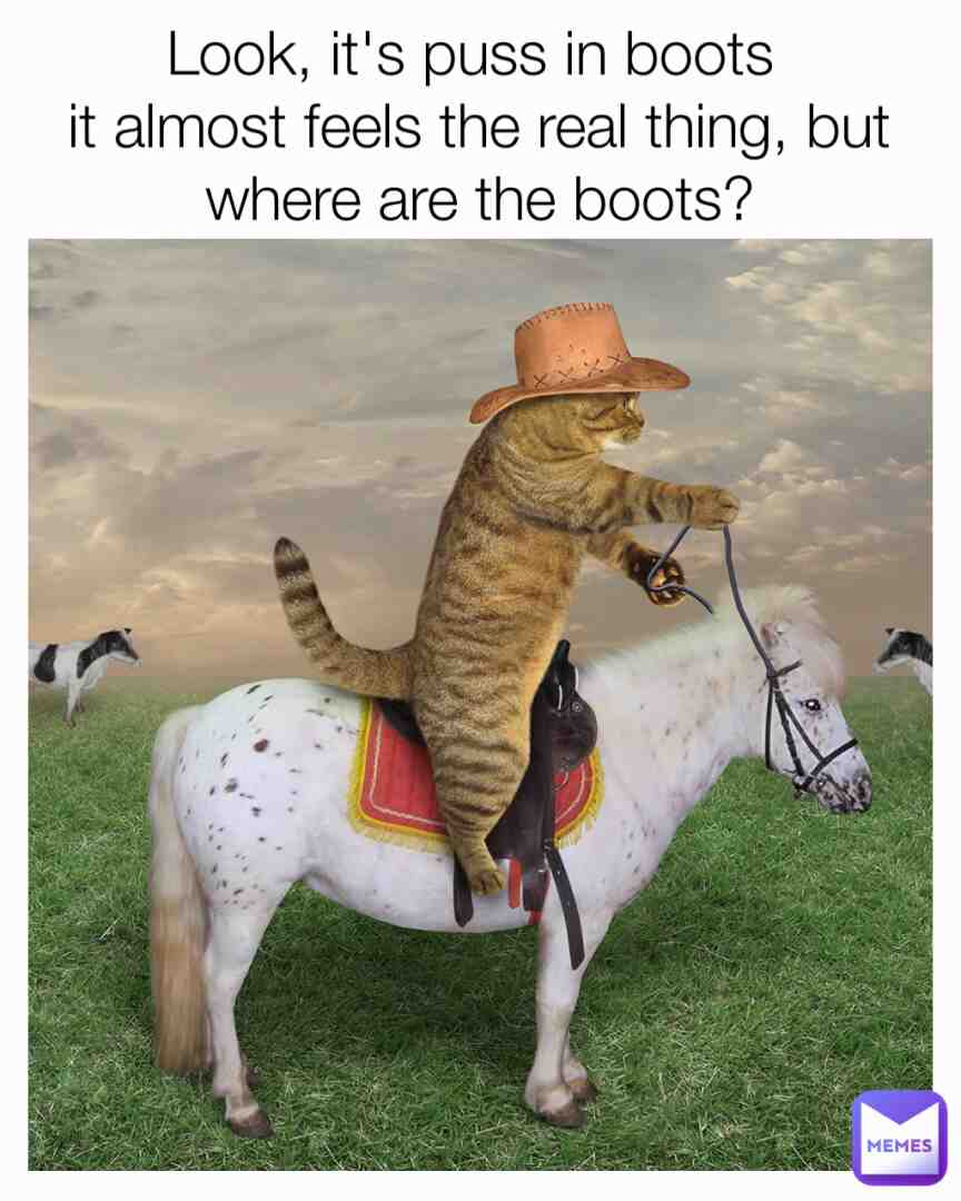 Meme preview