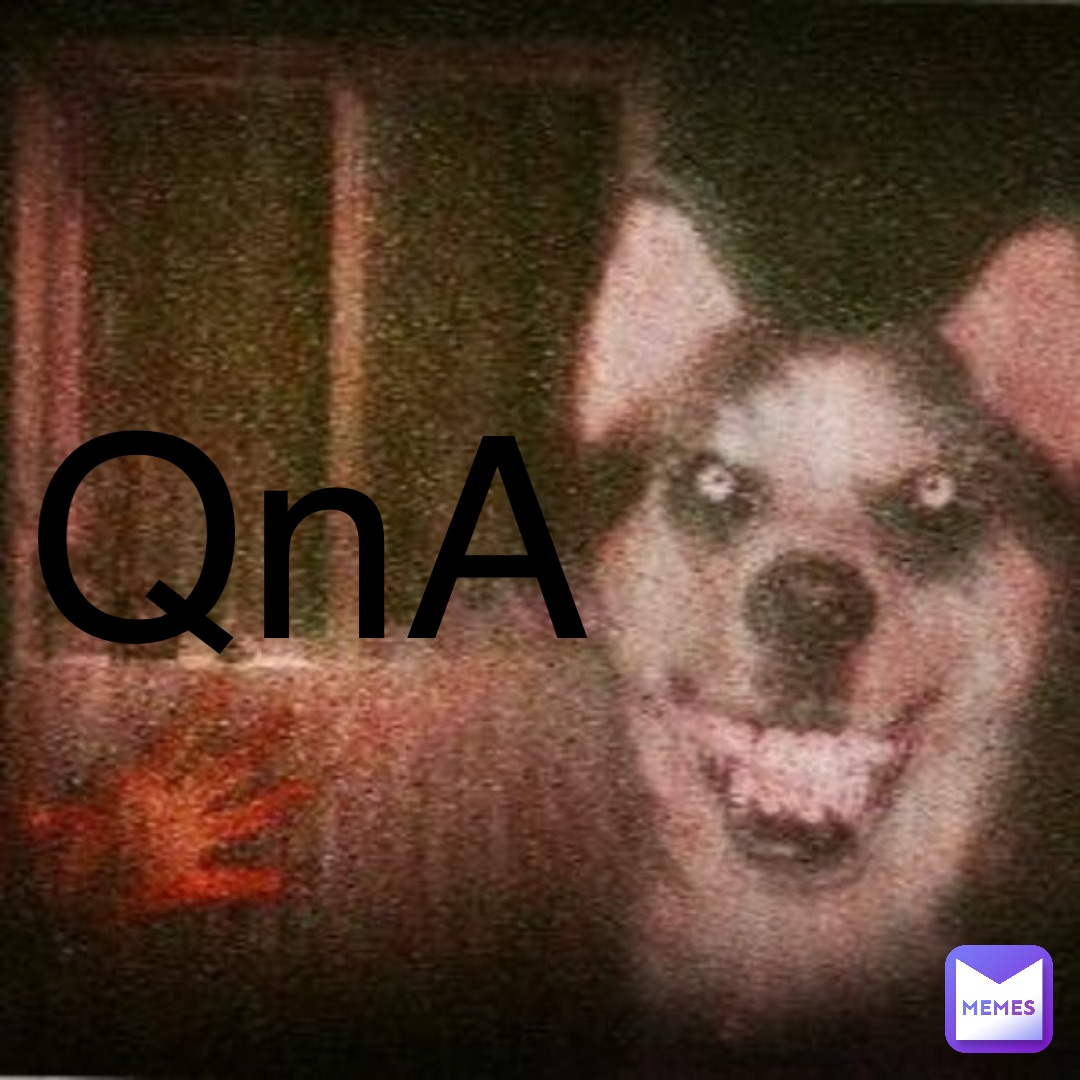 QnA