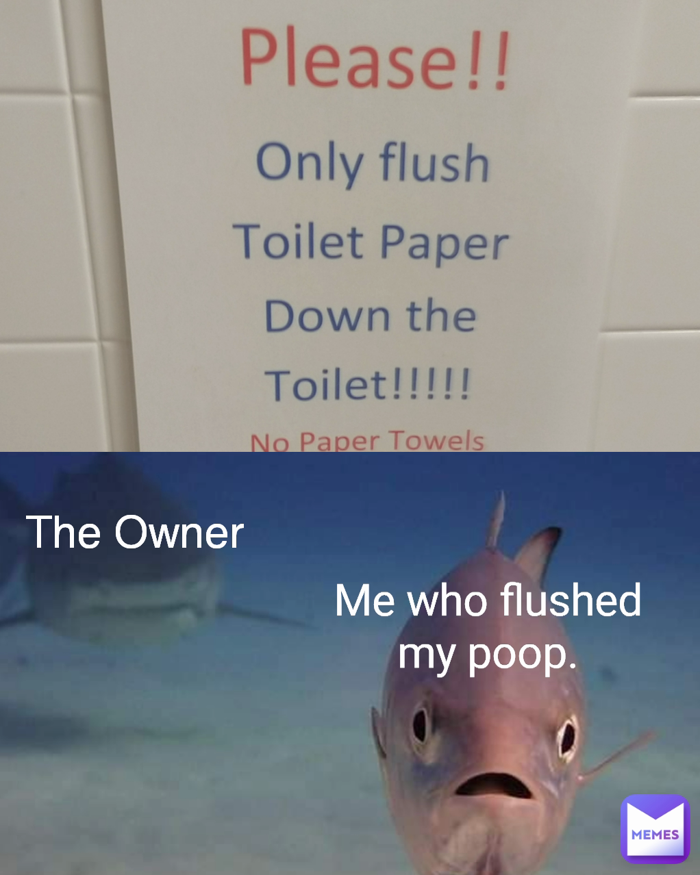 Me who flushed my poop. The Owner