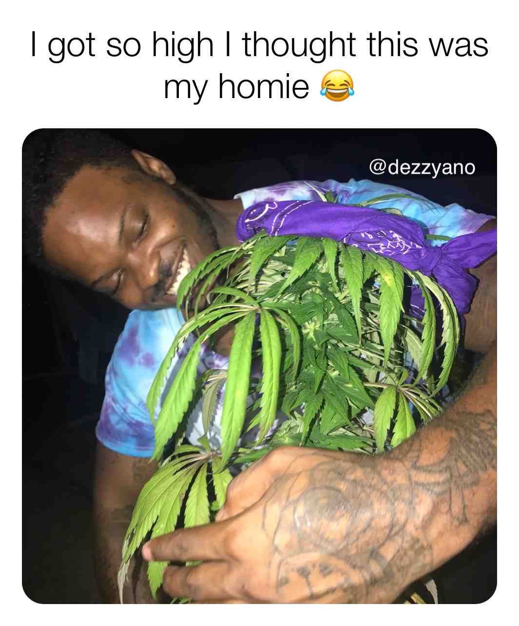#Maryjane #weedmemes #hightimes #420meme #marijuanagrowers