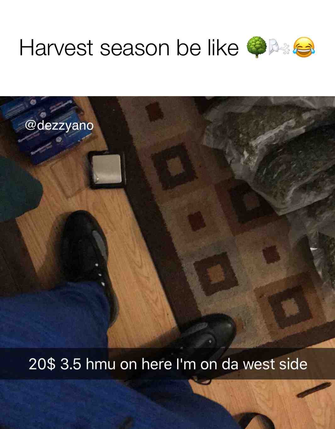 #Marijuanagrowers  #trappmeme  #trappmusic  #fortheculture  #belike  #trap  #hastag  #viralmemes  #viralmemes  #trending