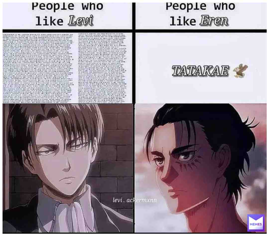 tatakae #aot #leviackermann #erenjaeger